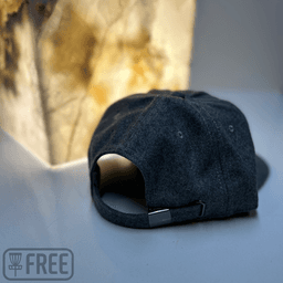 DGIF Hat - Gray thumbnail 2
